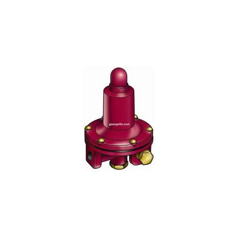 Fixed 40 PSI High Pressure Regulator-1200-F40