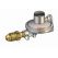Low Pressure Regulator with Vent & POL